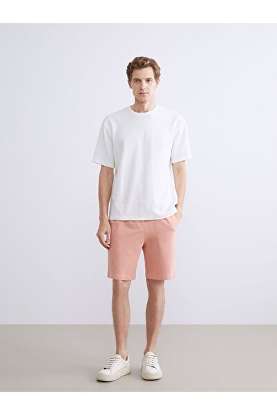 LC Waikiki LCWAIKIKI Classic Standard Fit Men's Shorts