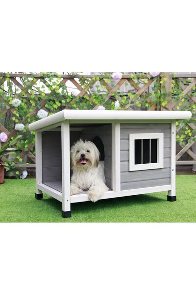 dost ahşap Ahşap Köpek Kulübesi