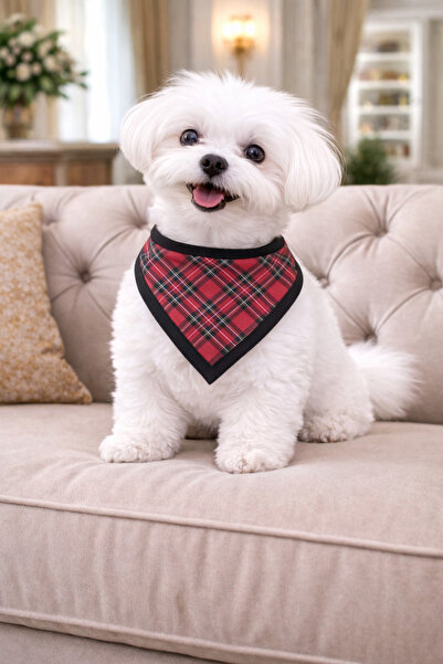 Ekose Desen Üçgen Köpek Fular Bandana