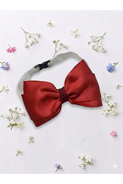 Zelisceisler Boy's Bow Tie