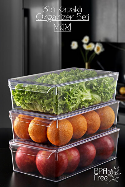 GİNZAMAİSON 3-Piece Organizer Set with Covers – Maxi Size |   Refrigerator Or...