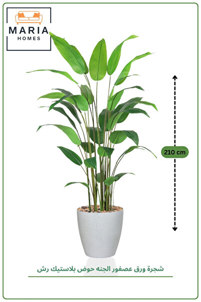 MARIA HOMES Artificial Bird of Paradise Tree 210 cm with Pot – Luxury Indoor ...