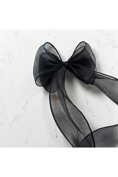 ALS Tasarım Dünyası Μαύρο Χρώμα Διαφανές Μοντέλο Κλιπς Μαλλιών με Κλιπ και Τε...