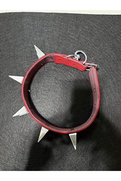 YILPAX DİKENLİ ZIRH TASMA