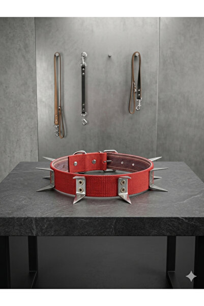 YILPAX DİKENLİ ZIRH TASMA