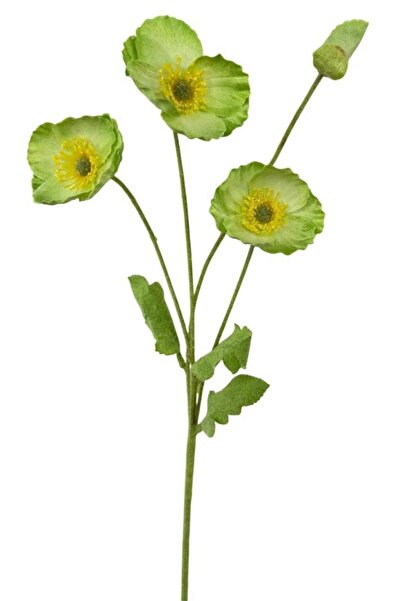 Nettenevime Yapay Çiçek Gelincik Çiçeği Sert Kumaş YEŞİL Renk 3 Çiçek 1 Tomur...