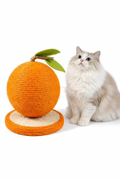 Generic Nilisse, Portakal Tasarımlı Hasır Kedi Tırmalama Tahtası Oyuncaklı Ke...