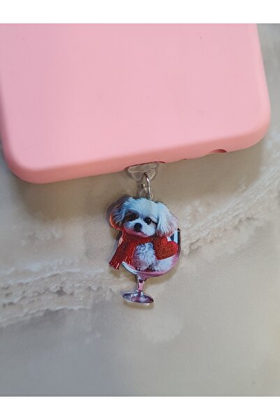 ZB Aksesuarda Moda TYP-C UYUMLU ŞARJ GİRİŞ KORUMA CHARMI TELEFON CHARM TYP-C