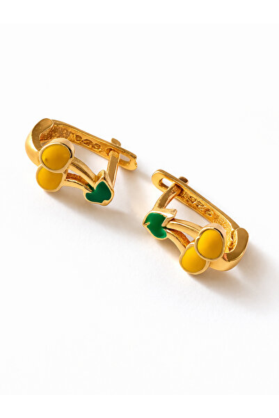 argint 925 Στεφάνια από ασήμι για παιδιά