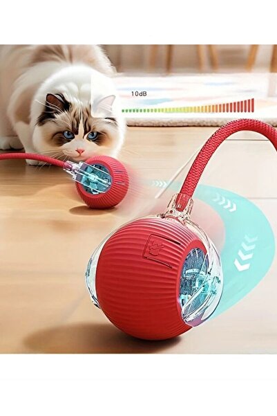 Duffa Kedi ve Köpek İçin Hareketli 360 Derece Dönen USB Başlıklı İpli Oyun To...