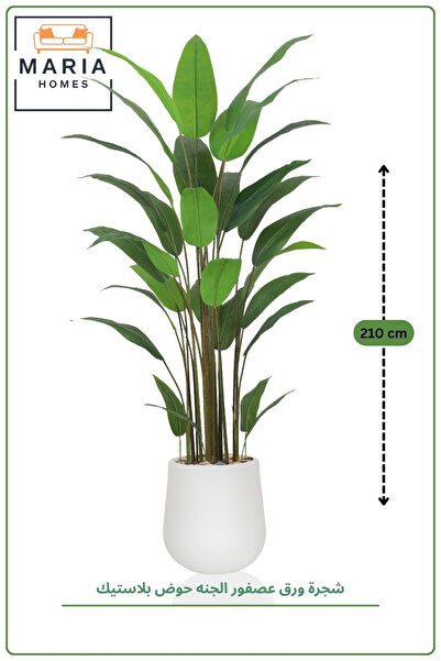 MARIA HOMES 213 CM Artificial Bird of Paradise Leaf Tree with White with Pot ...