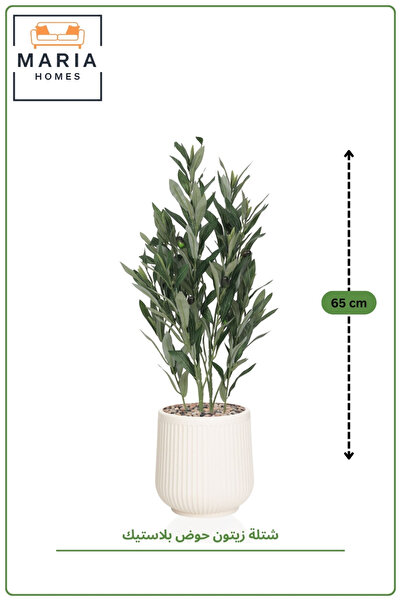 MARIA HOMES 65 cm Artificial Olive Plant with Realistic Leaves in with Pot