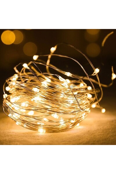 fesleğen çiçek Yeni Nesil 3 Metre 30 Ledli Pilli Peri Led Işık Gün Işığı