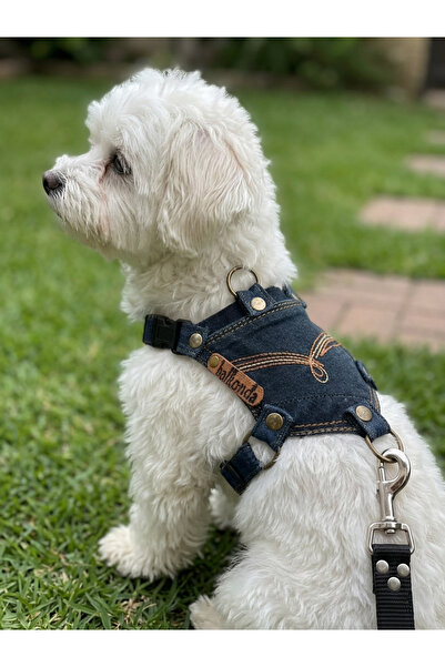 balkonda Köpek Göğüs Tasması Minik & Küçük Irk Ayarlamalı Kot Koyu Lacivert