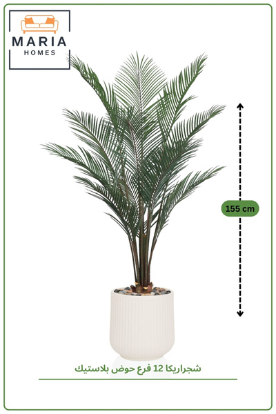MARIA HOMES 155 CM Artificial Areca Palm Tree with Ribbed Cream with Pot Indo...