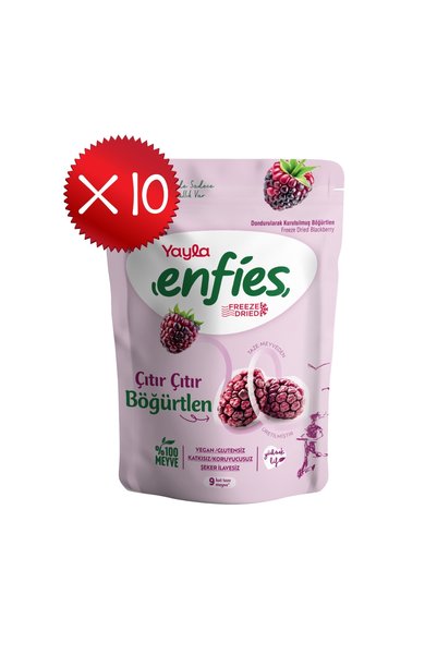 Yayla Enfies Freeze Dried Blackberries 15 g X10