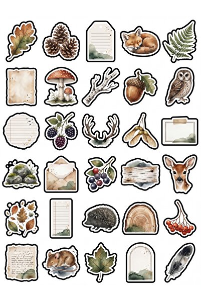 Store 30 Pieces Rustic Watercolor Autumn Nature Sticker Set - for Agenda Note...
