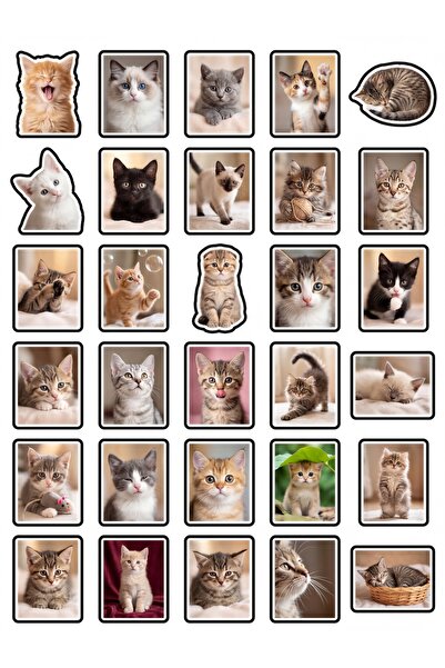 Store 30 Pieces Aesthetic Kitten Sticker Set - Laptop Notebook Phone Agenda
