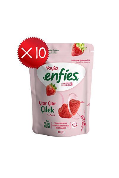 Yayla Enfies Freeze Dried Çilek 15 g x10