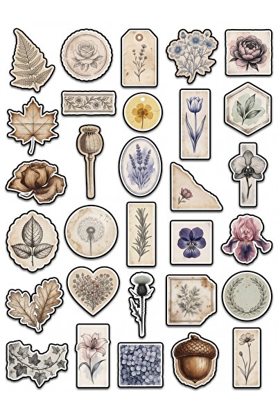 Store 30 Pieces Vintage Botanical Flower Sticker Set - for Notebook, Agenda, ...
