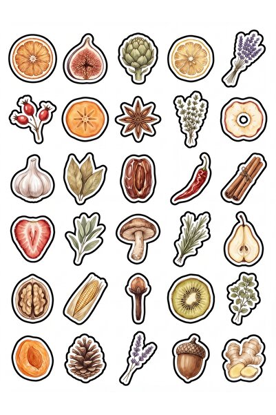 Store 30 Pieces Vintage Dried Botanical Sticker Set - for Agenda Laptop Notebook