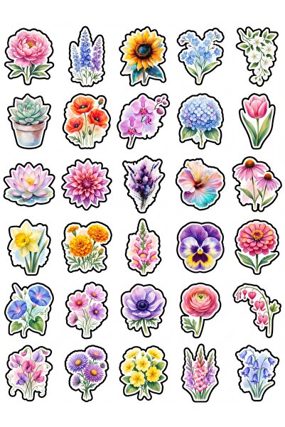 Store 30 Pieces Watercolor Botanical Flower Sticker Set - for Laptop, Noteboo...