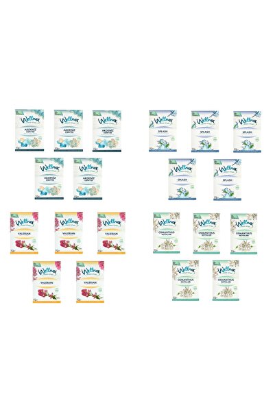 Wellnax breeze refresh Dolap Ve Çekmece Kokusu KARIŞIK Ferahlığı Kesesi X20
