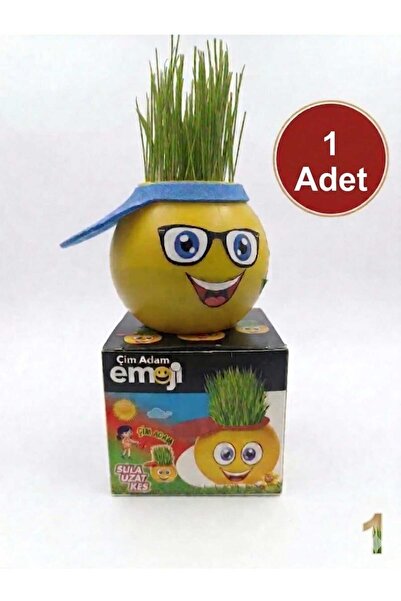 Çağdaş Oyuncak 1 adet Emojili Çim Adam Seti | Dekoratif Saksı Oyuncak | Eğiti...