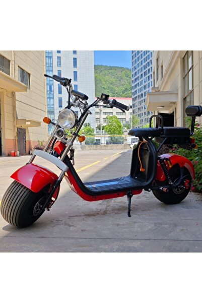OEM Ηλεκτρικό σκούτερ citycoco, κινητήρας 1500W, μπαταρία 20Ah 60V, 2 θέσεις,...