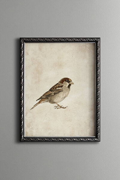 epiqart Hummingbird Illustration – Vintage Patterned Frame – Slim Model