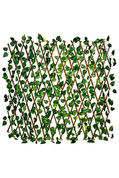 ZanaCasei Ξύλινο Παραβάν με Φύλλα 60x180εκ.