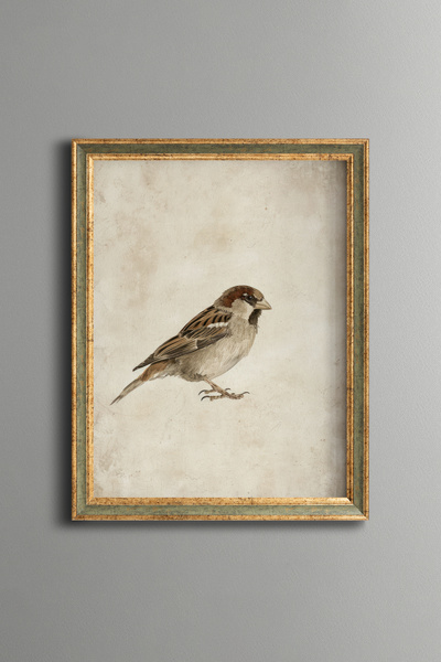 epiqart Hummingbird Illustration – Vintage Patterned Frame – Slim Model