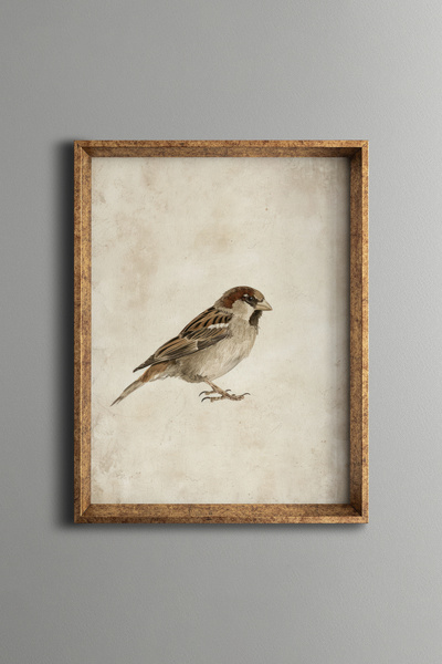 epiqart Hummingbird Illustration – Vintage Patterned Frame – Slim Model