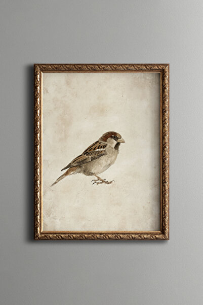 epiqart Hummingbird Illustration – Vintage Patterned Frame – Slim Model