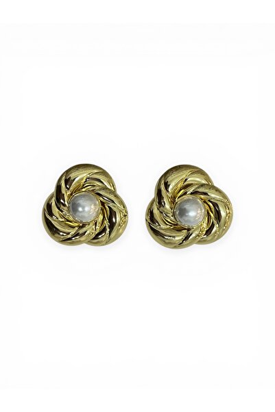 stravis Steel Flaw Earrings