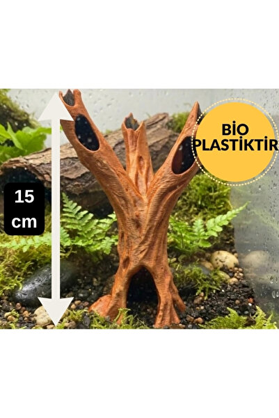 FLEXIS WE MAKE IT POSSIBLE FOR YOU 15 cm Çok Fonksiyonlu Ağaç Kovuğu Teraryum...
