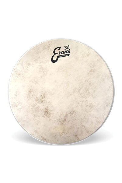 Calftone Tom 13 inch - TT13C7 Tom Derisi