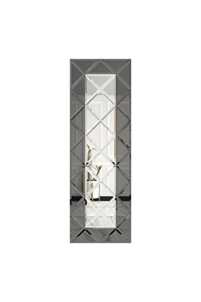 POTRO Oglinda cu fazeta 80 x 240 cm Gri-Argintiu