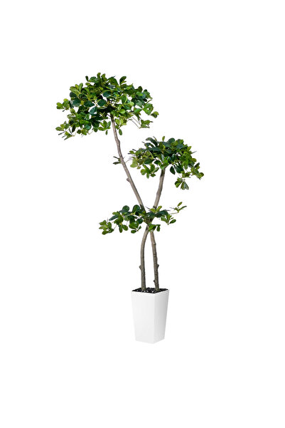 MirageBotanics شجرة زيتون صناعية سوداء طويلة 150 سم، نبات اصطناعي في وعاء أبي...