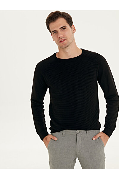 LC Waikiki Crew Neck Long Sleeve Thin Men's Tricot Sweater