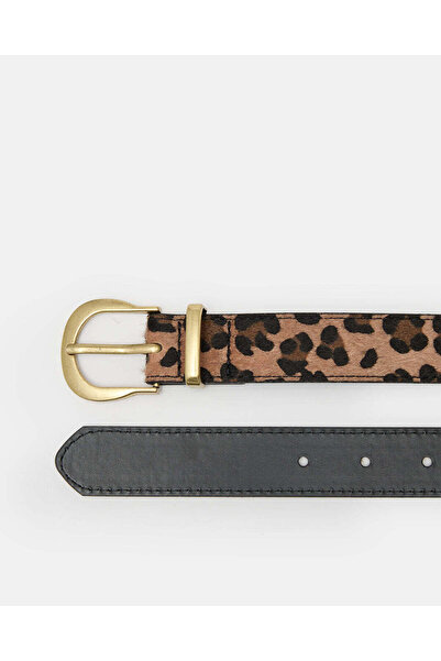 REDTAG Women Brown Classic Buckle Belt