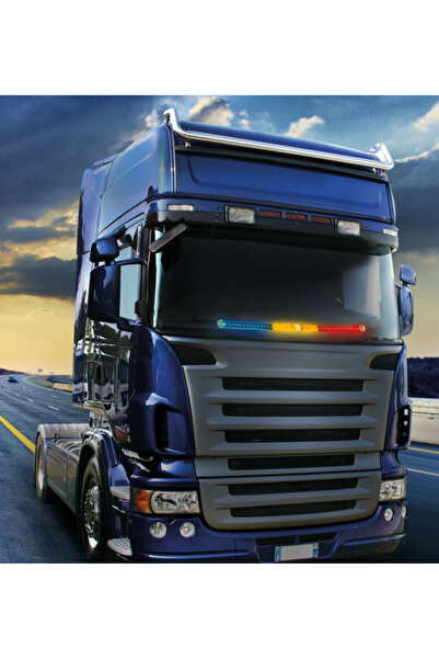 PARADOX SINCE 1992 Λάμπα σημαίας LED Ρουμανίας 45 LED 60 εκ. για παρμπρίζ αυτ...