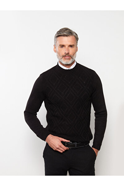 LC Waikiki Crew Neck Long Sleeve Men's Tricot Sweater
