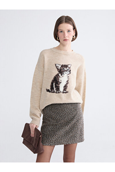 LC Waikiki Crew Neck Printed Women's Knitwear Sweater