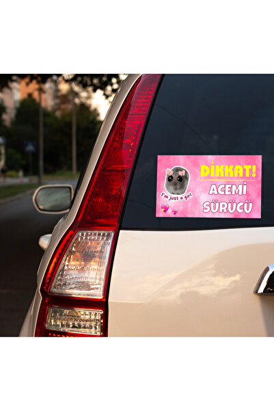 DRN DİZAYN Acemi Sürücü Sticker – Sevimli Hamster Tasarımlı Araba Cam Etiketi...