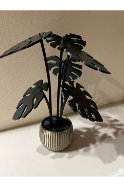 3D Saksı ve bardak altlıgı Monstera variegata plant with