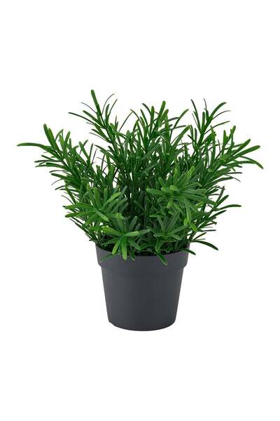 IKEA Fejka Τεχνητό Φυτό Πράσινο 9 εκ. Δεντρολίβανο