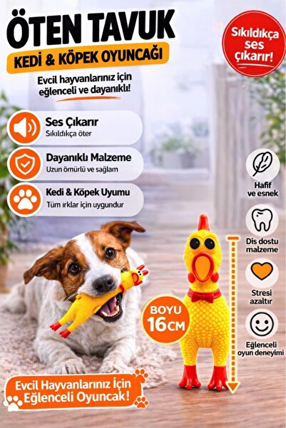 optana Ses Çıkaran Tavuk Oyuncak | Kedi & Köpek İçin Dayanıklı Küçük Boy Oyun...
