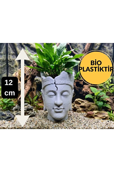 FLEXIS WE MAKE IT POSSIBLE FOR YOU Mistik Buda Büstü Formlu Dekoratif Teraryu...
