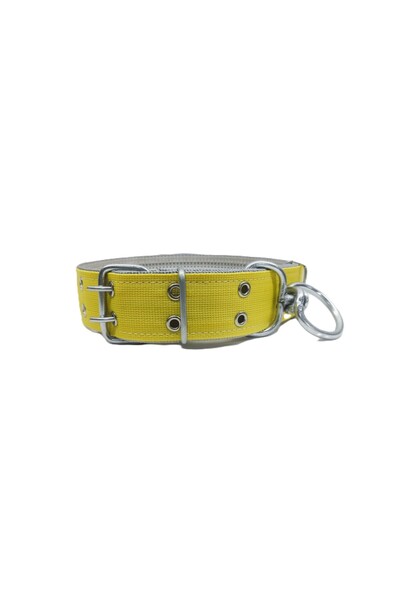Kozak Büyük Irk Yetişkin Köpek Tasması 80x5 Cm
